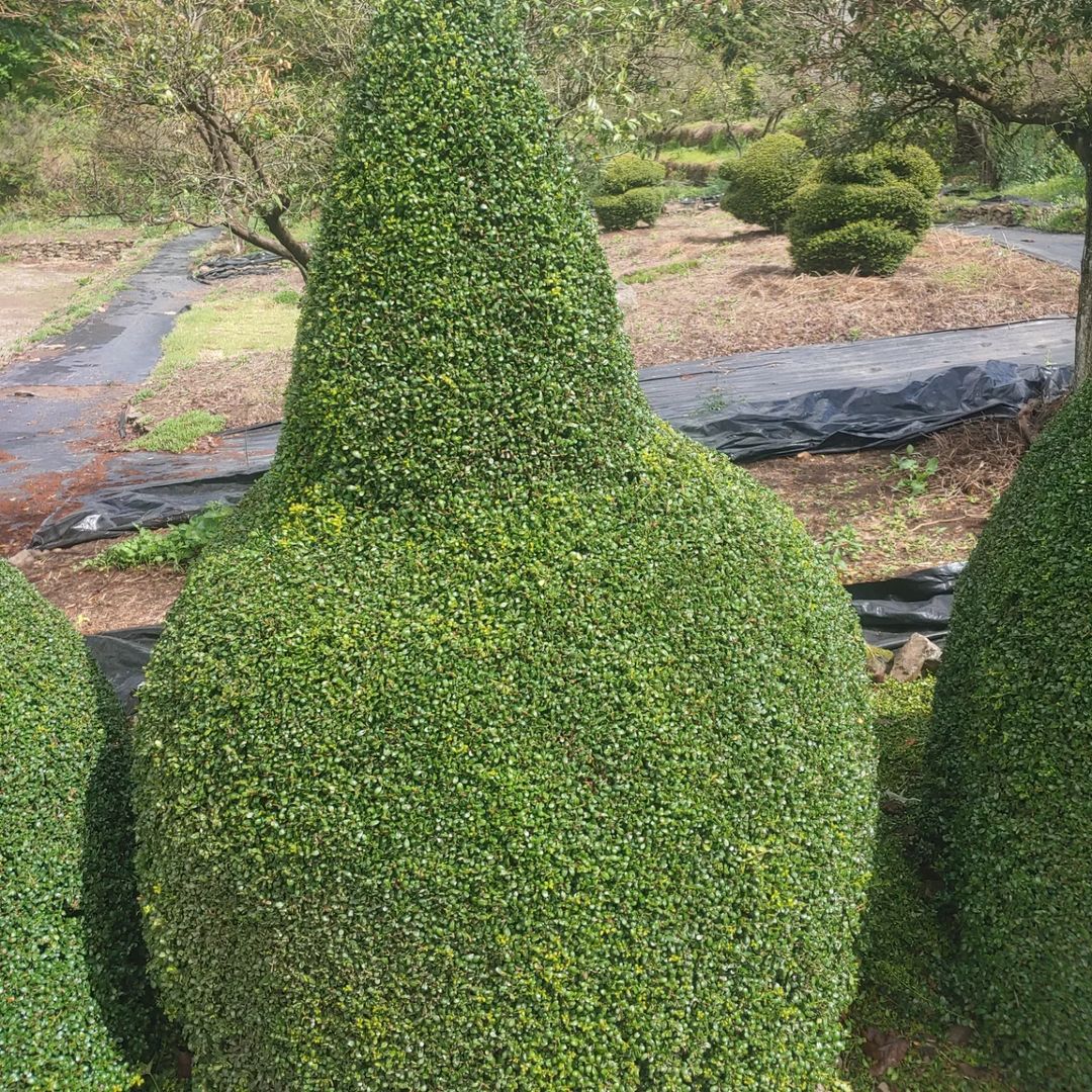 생방송오늘저녁 대한민국 보물정원 남해 여행 추천