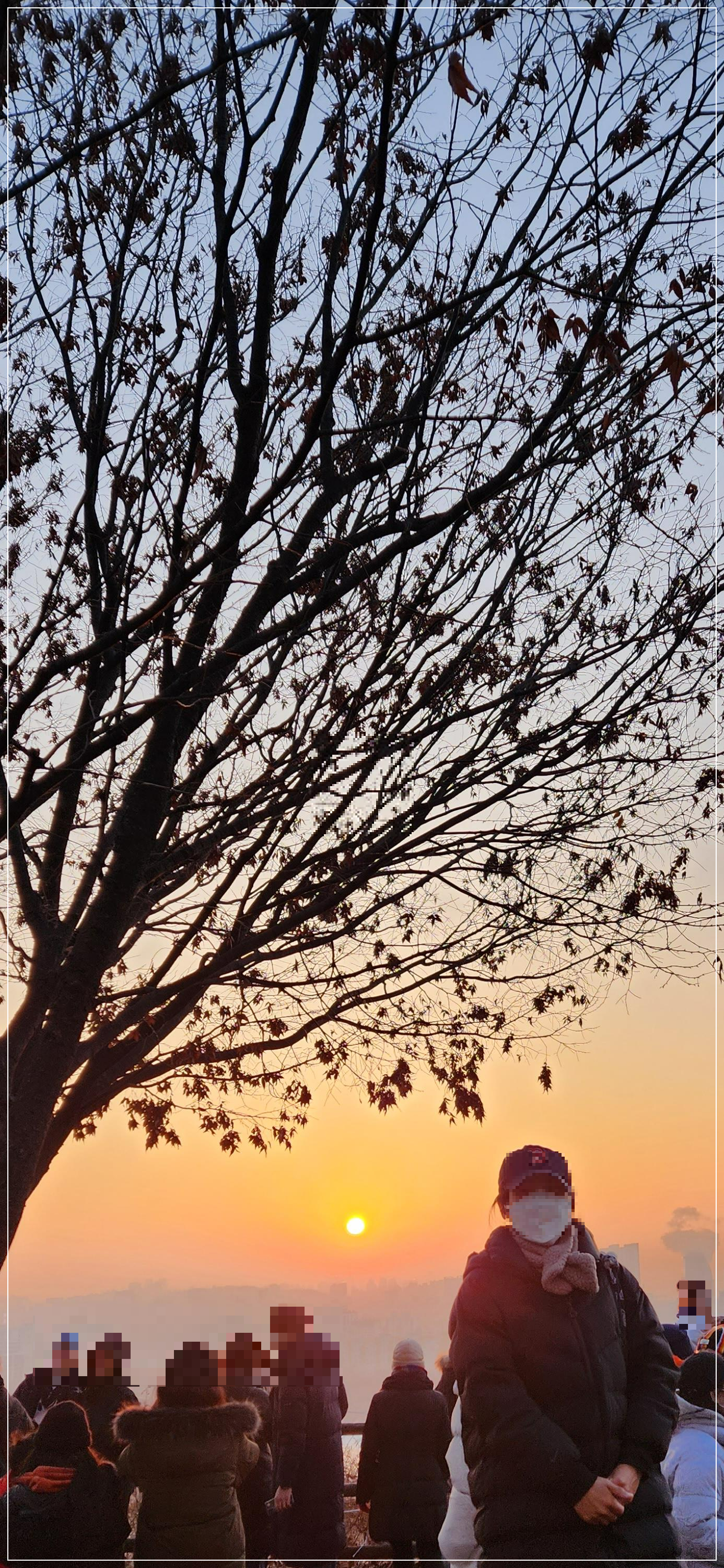 하늘공원 (마포) 새해 일출 해돋이 주차