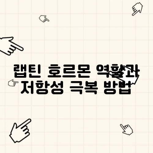 랩틴 호르몬 역할과 저항성 극복 방법