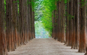 가족과함께할국내여행지