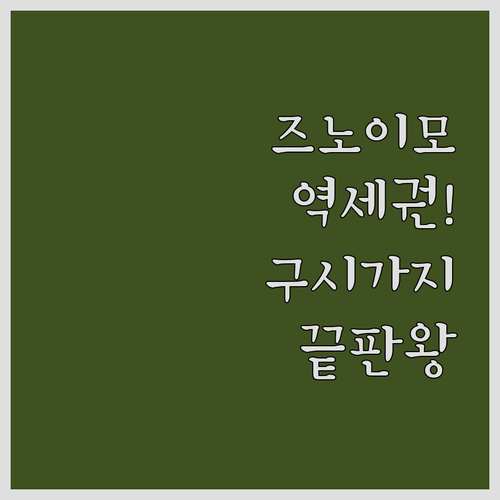 즈노이모 기차역 근처 숙소와 구시가지..