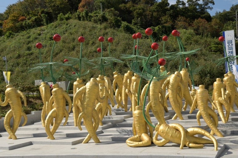 금산세계인삼축제 일정
