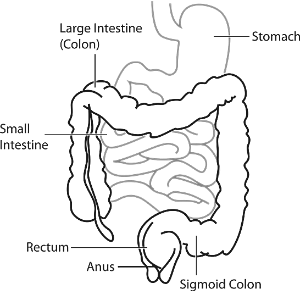 대장내시경비용,검사시간-이미지