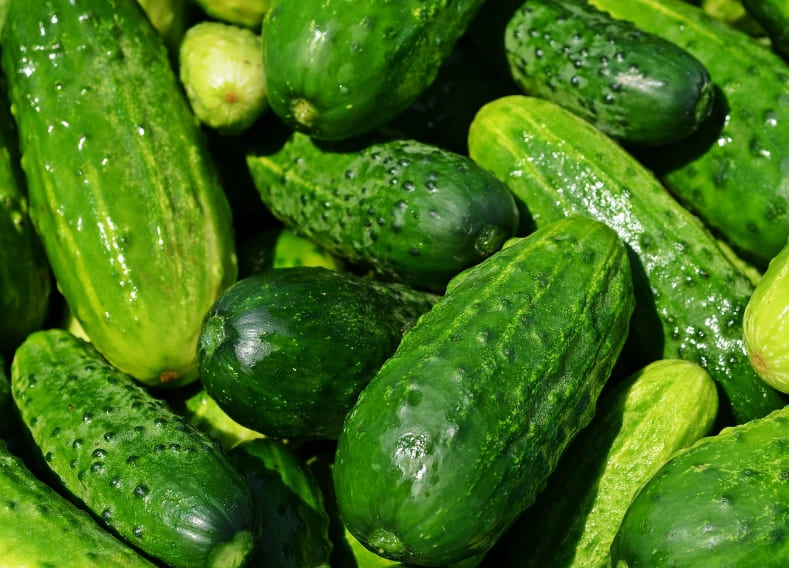 당뇨에 좋은 음식과 나쁜 음식