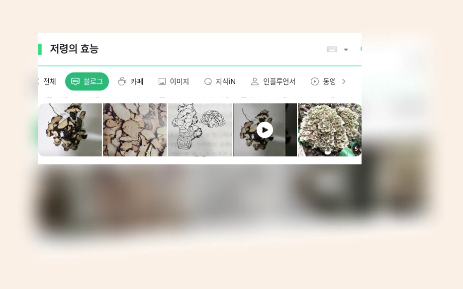 저령의 효능_1_subsection