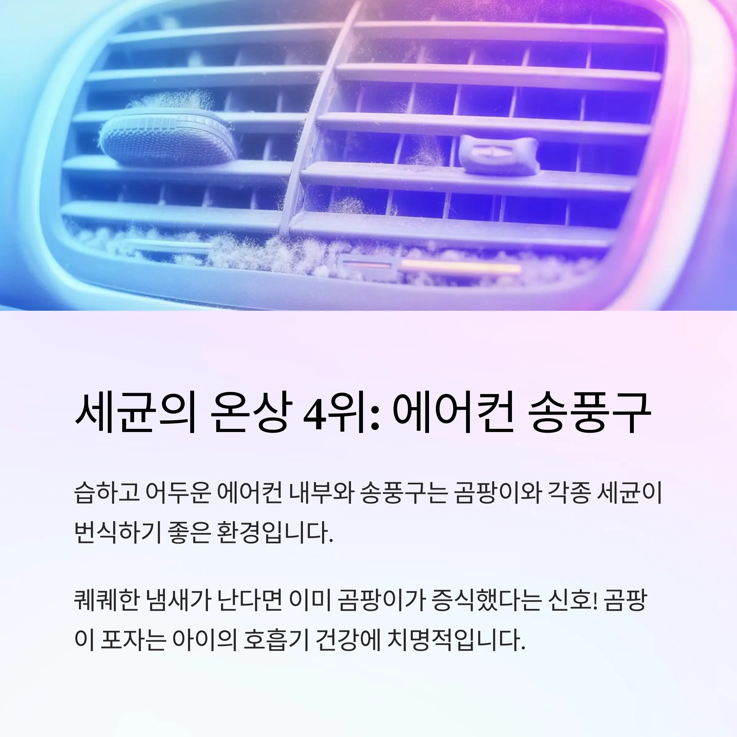 차내부청소관리 정보