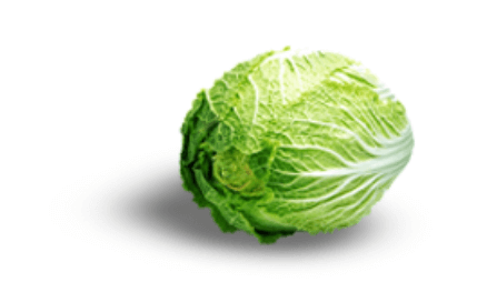 절임배추 만드는법 영양 보관방법 구매팁