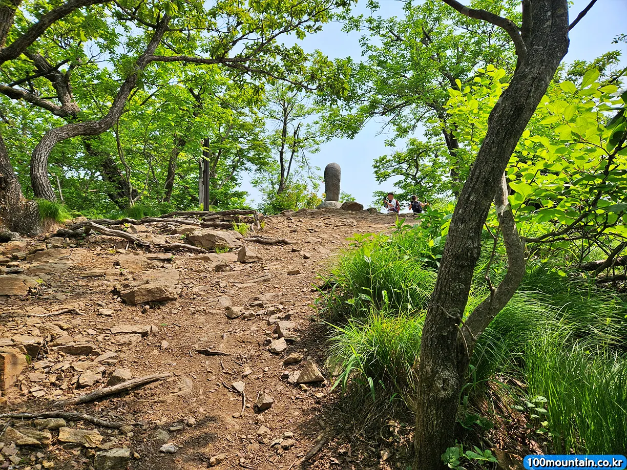 조령산 정상
