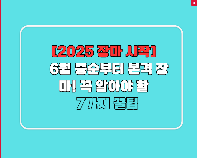 [2025 장마 시작] 6월 중순부터 본격 장마! 꼭 알아야 할 7가지 꿀팁