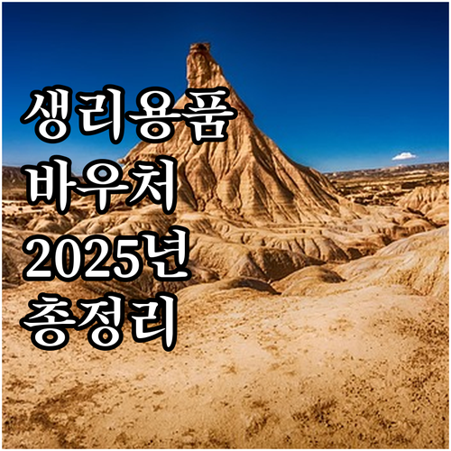 2025년 여성청소년 생리용품 바우처..