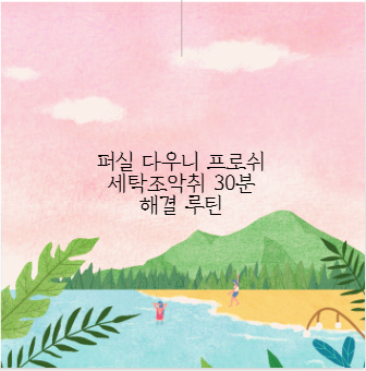 퍼실 다우니 프로쉬 세탁조악취 30분 해결 루틴