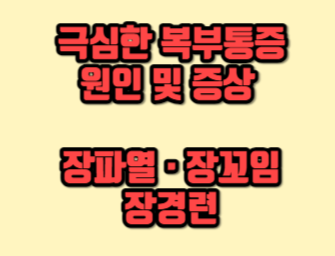 극심한 복부 통증 원인 및 증상 장파열 장꼬임 장경련