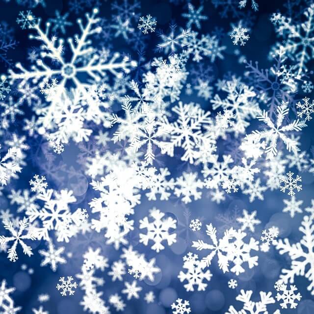 조용필 콘서트 일정