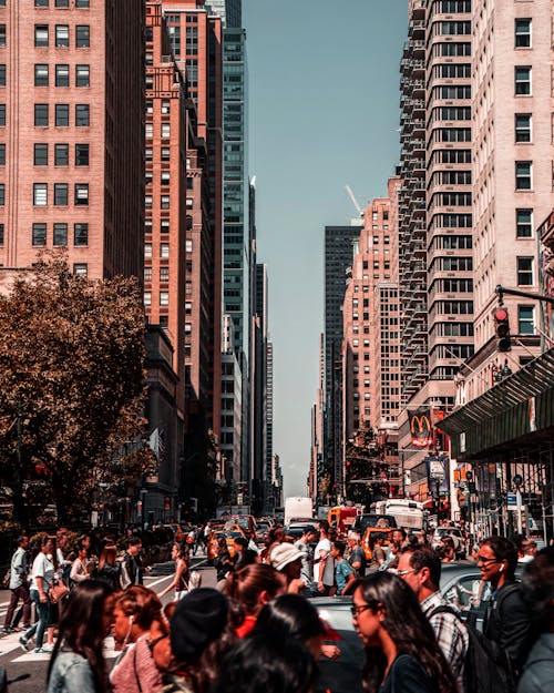 사회적인 것을 표현