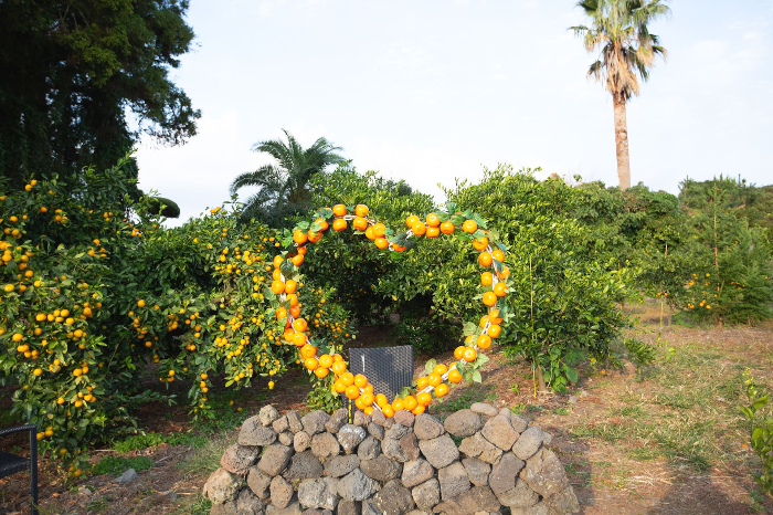 제주 파더스가든