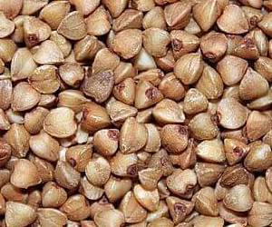 혈관에 좋은 음식 메밀