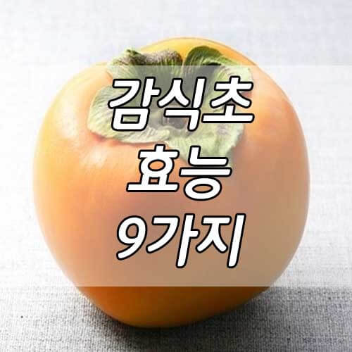 감식초 효능, 보약보다 좋다는 감식초 효능 9가지!