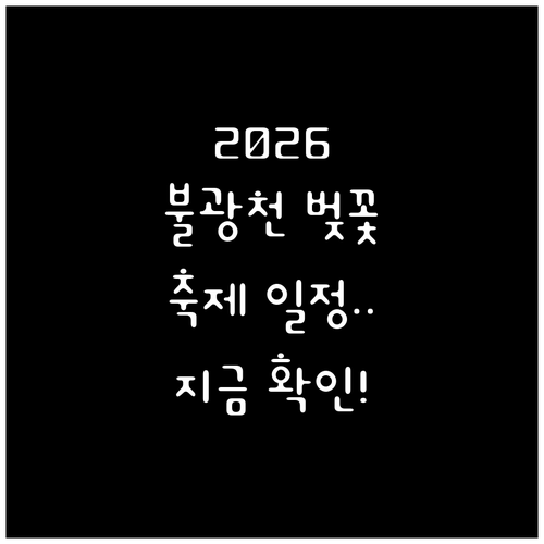 2026년 은평구 벚꽃 개화 시기 및..