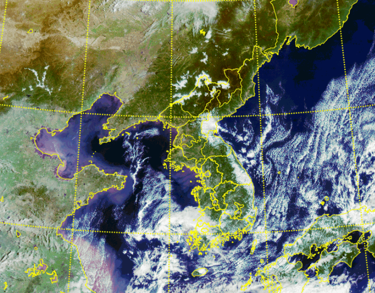 11호 태풍 버들 뜻&amp;#44; 현재 경로&amp;#44; 영향&amp;#44; 대응 방법