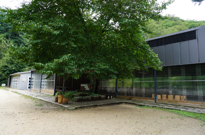 청평자연휴양림