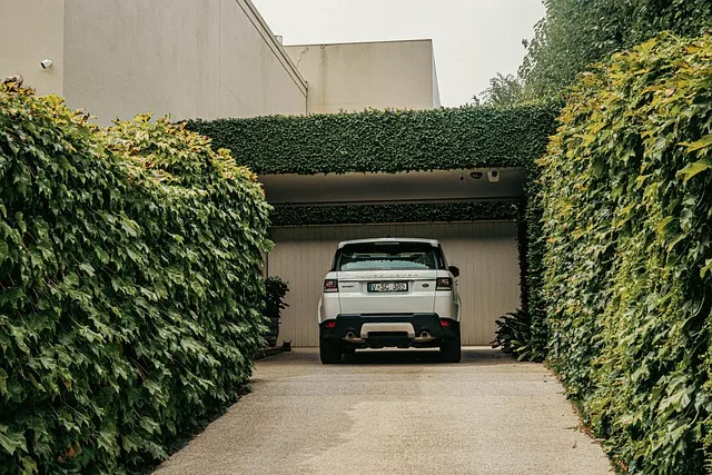 2025년 8월 중형 SUV 판매 순위 전체 순위표로 확인_9