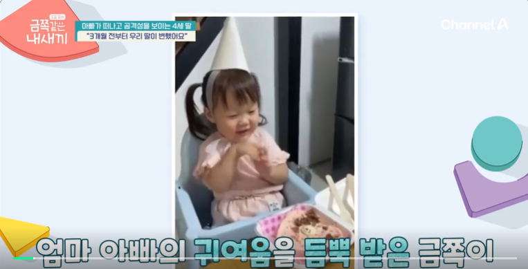 금쪽같은-내새끼-201회