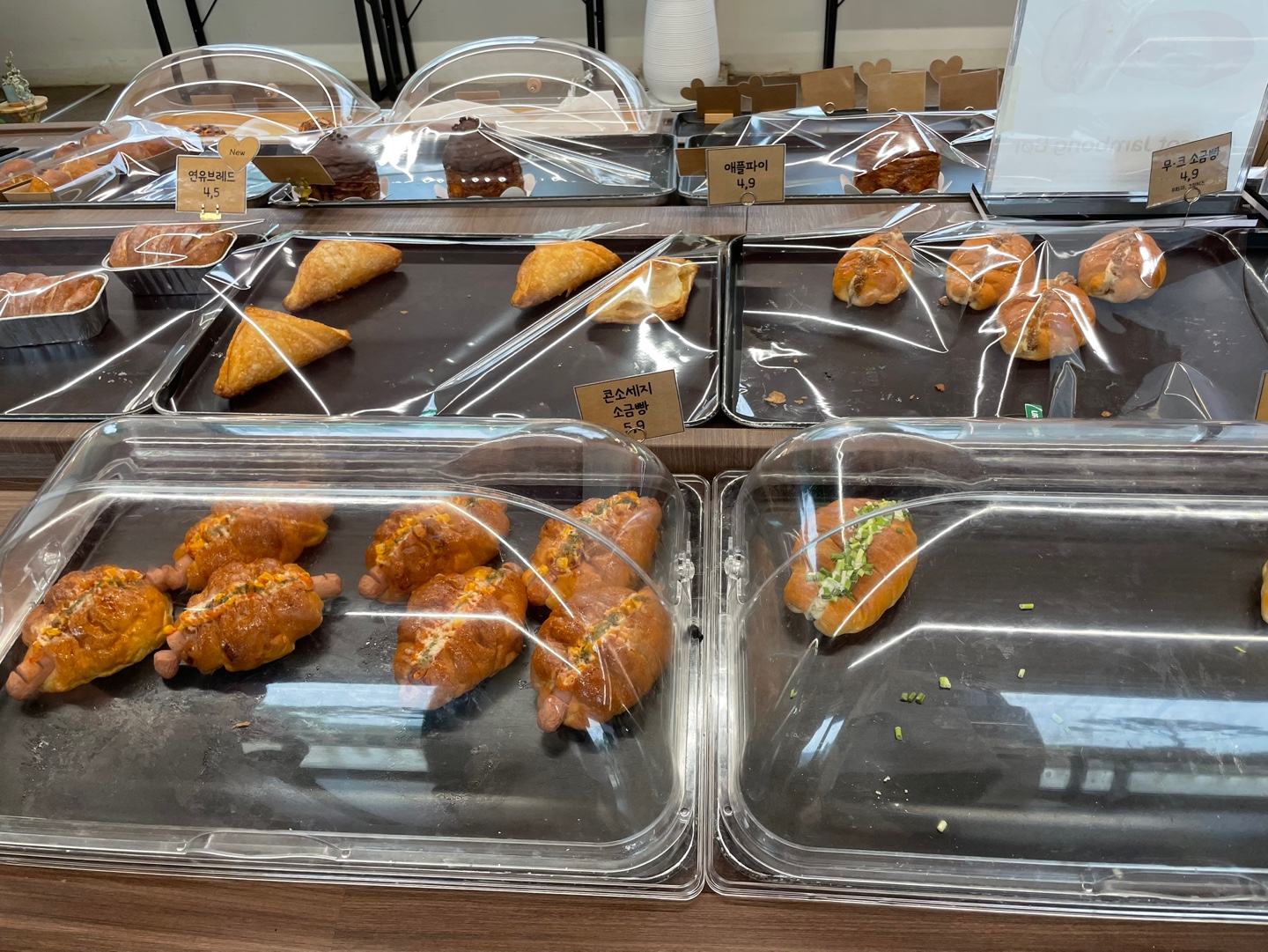 용인 식물원 베이커리 카페 어반리프