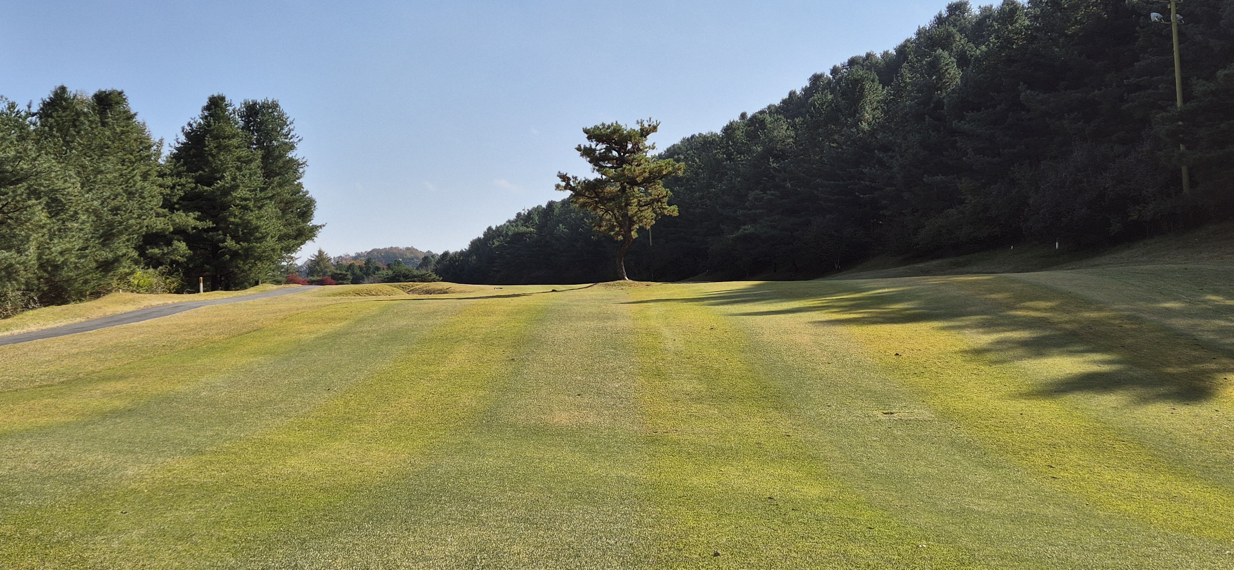 시그너스cc 실크코스 사진 및 공략 정보