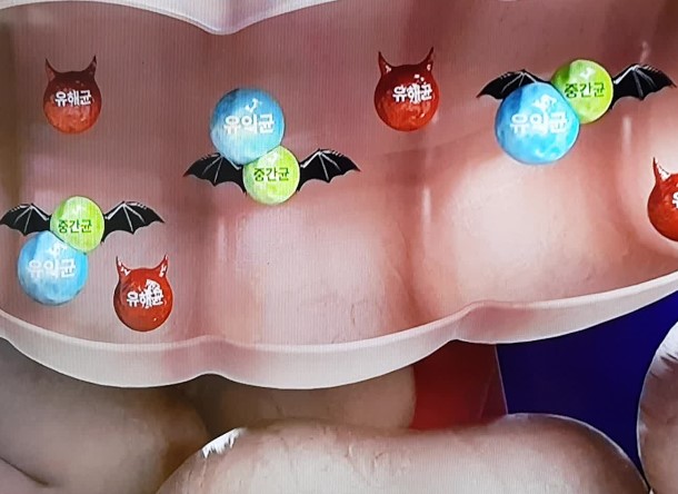 프리바이오틱스 다이어트
