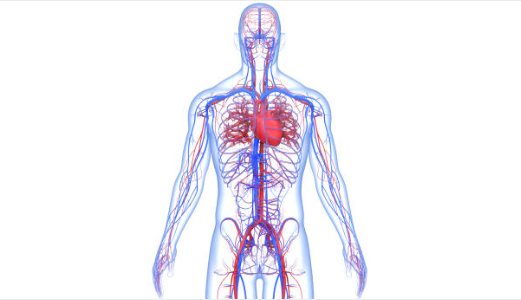 혈관 석회화의 원인과 증상, 진단, 치료와 예방 방법, 합병증