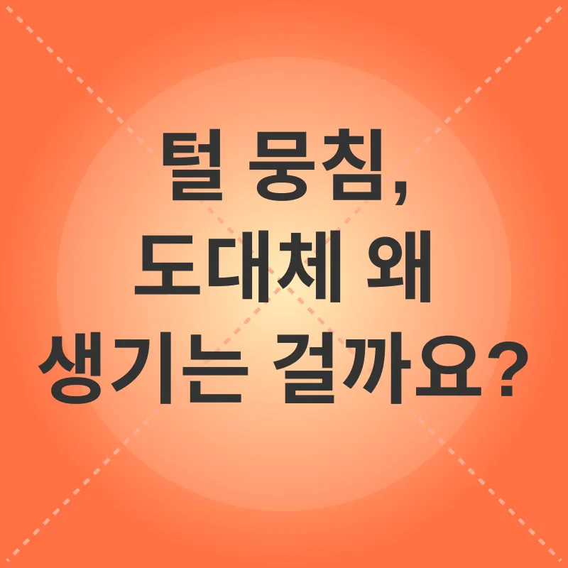 고양이 털 관리_1