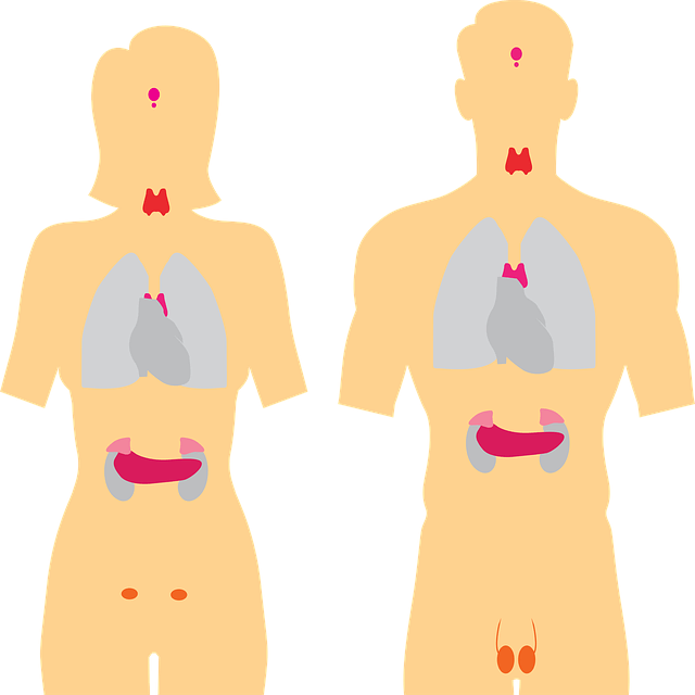 갑상선항진증-갑상선폭풍
