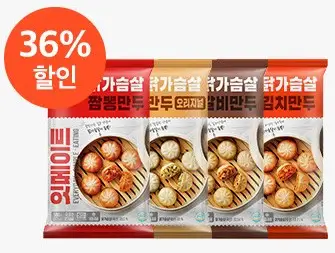 닭가슴살 만두