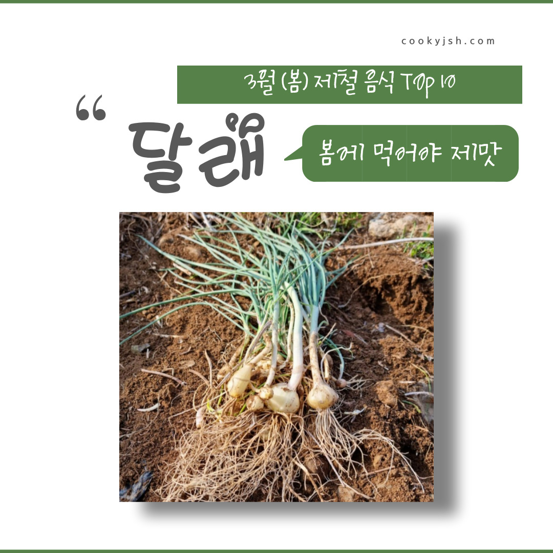 3월에 먹으면 좋은 제철 음식의 종류 Top 10 (봄철 음식) 두릅 냉이 쭈꾸미 취나물 씀바귀 바지락 달래 소라 부추 쑥
