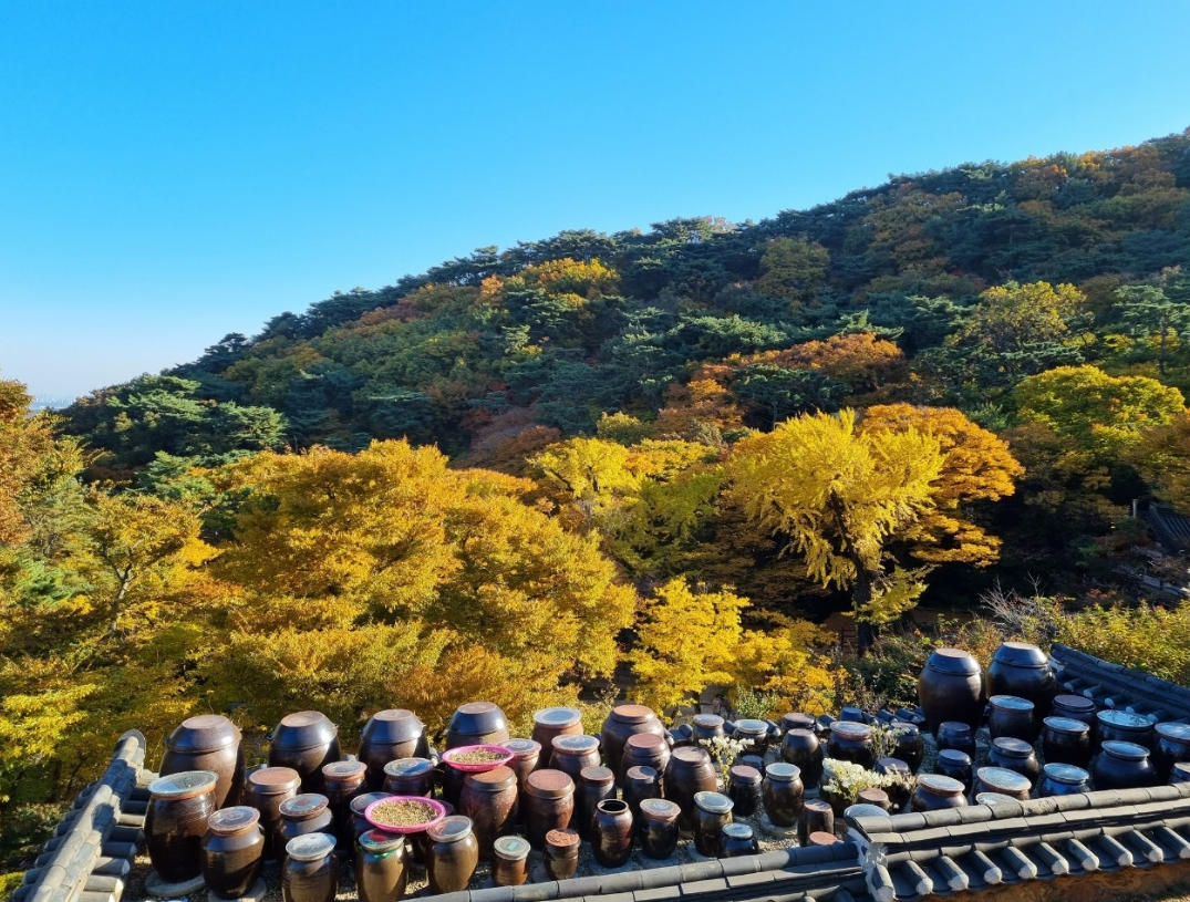 강화도에서 아이들과 함께 힐링 여행