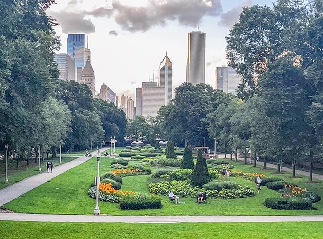 AI와 도시 나무의 성장 공간에 대한 제약 예측과 개선 방법