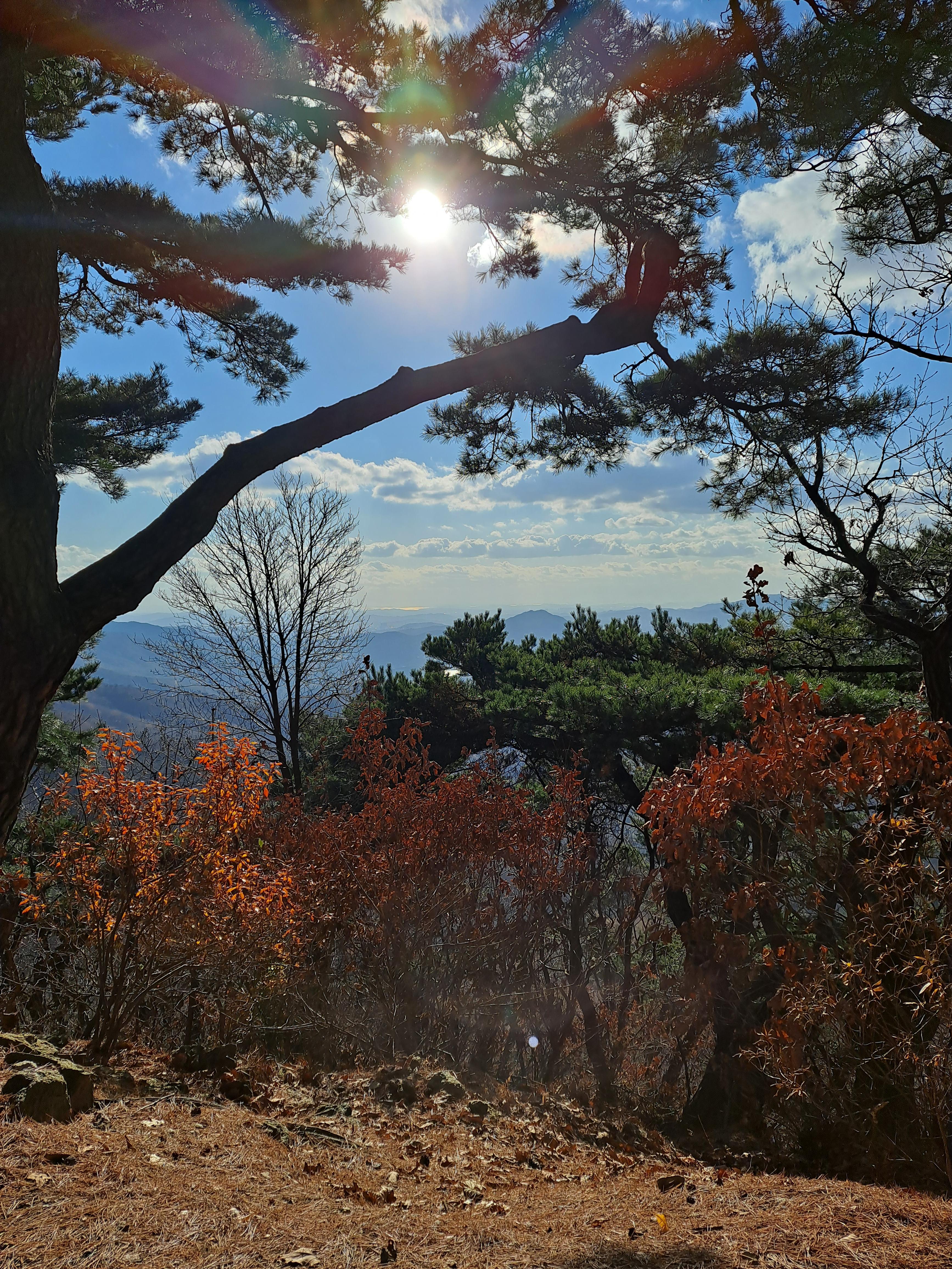 청계산