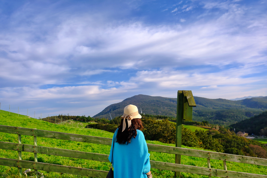 대관령 양떼 목장의 풍경