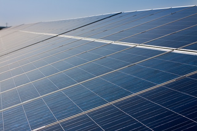 태양광 정부 지원