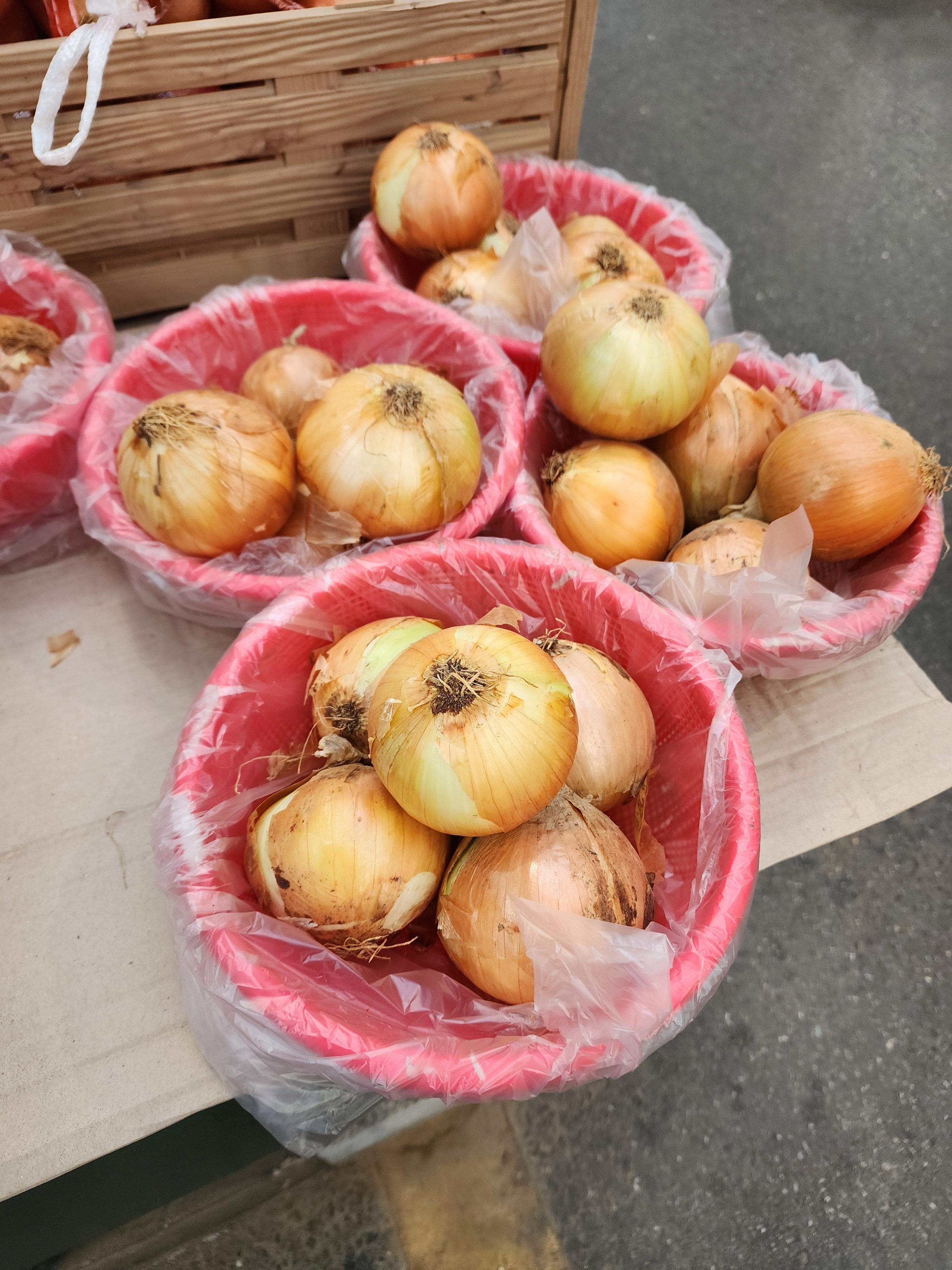 Alt 속성 문제 해결 설명 이미지