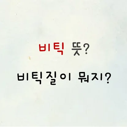 비틱 뜻 비틱질 뜻