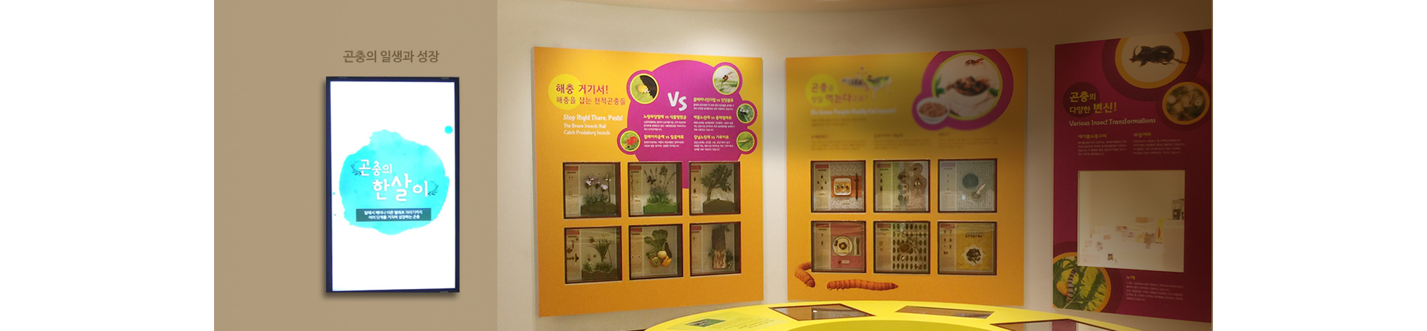 대전곤충생태관 반딧불이 불빛 체험