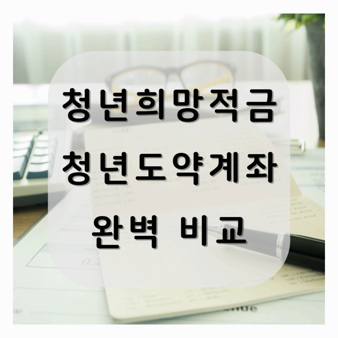 청년희망적금 2025 청년도약계좌 차이점 완벽 비교!