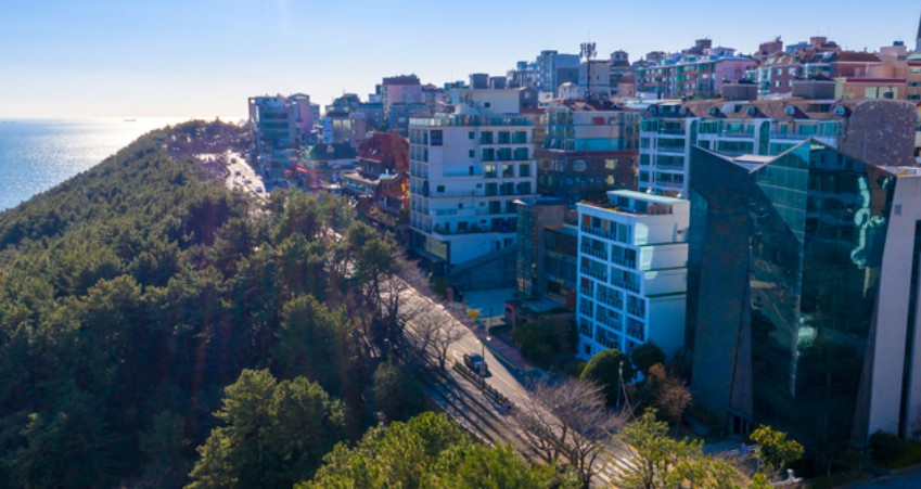 티맵 인기 여행지 추천 Top5 - 요즘 가볼만한 곳 : 해운대 달맞이길