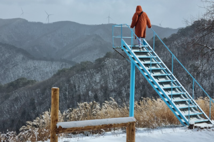 평창 애니포레