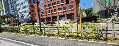 메가팩토리약국