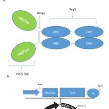 2024 세금 세법 변경사항 (월세액 증여재산 자녀세액) 정리