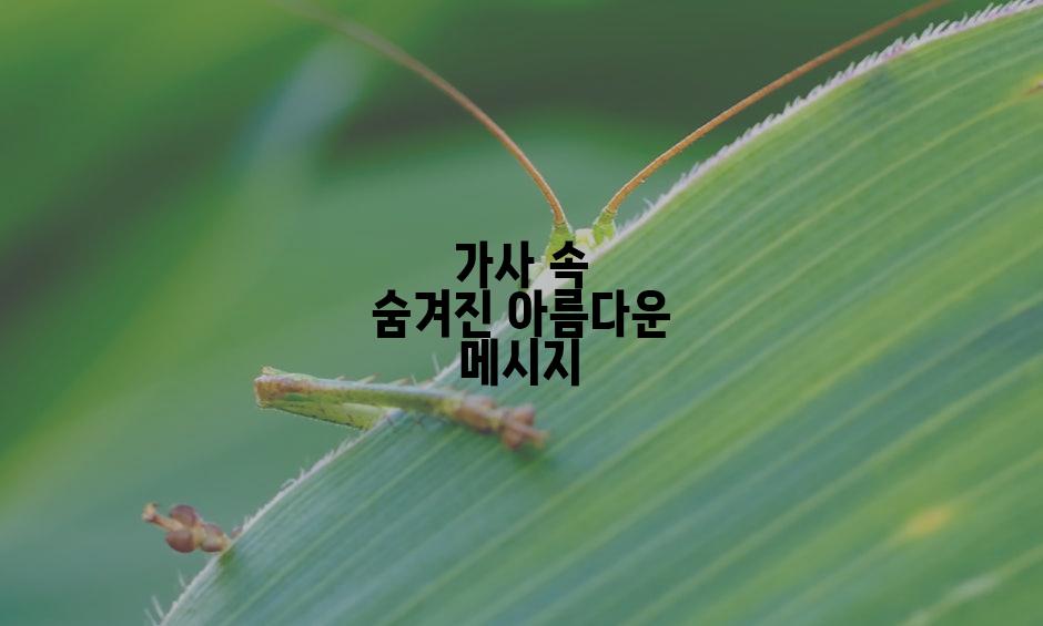 가사 속 숨겨진 아름다운 메시지