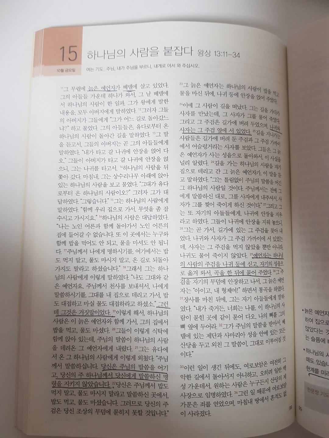 211015 시냇가에 심은 나무