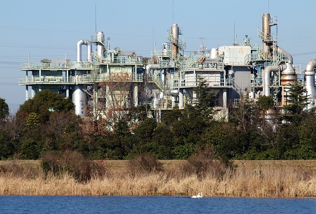 안전성 고려 사항